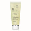 Dr. Dennis Gross Alpha Beta AHA/BHA Daily Cleansing Gel