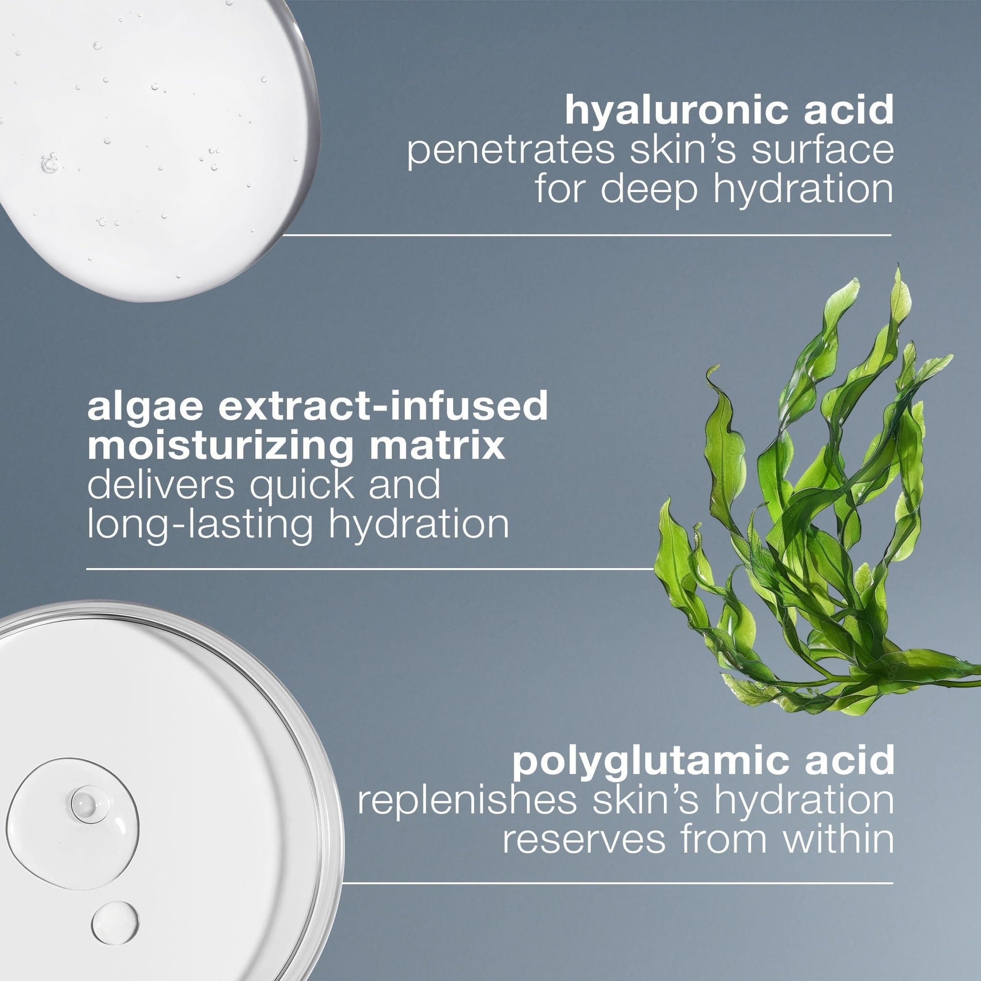 Dermalogica Circular Hydration Serum with Hyaluronic Acid Serum
