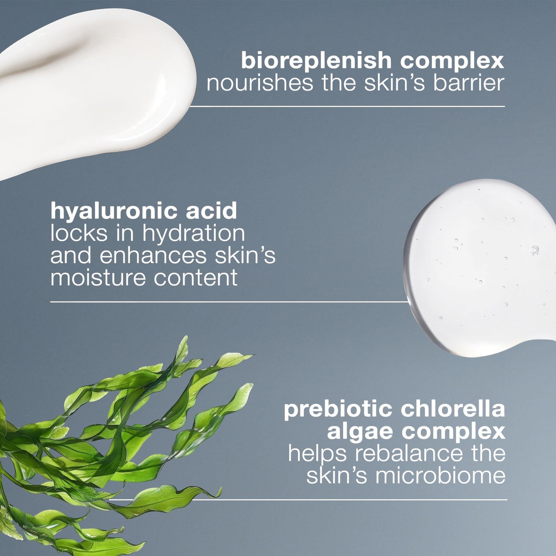 Dermalogica Intensive Moisture Balance Moisturizer