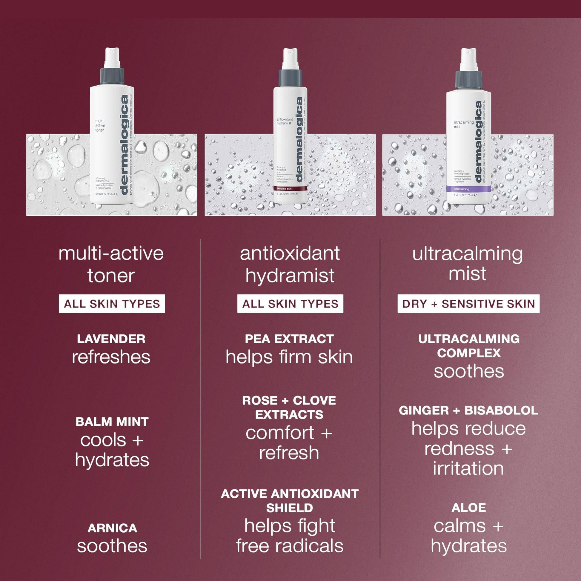 Dermalogica Antioxidant HydraMist