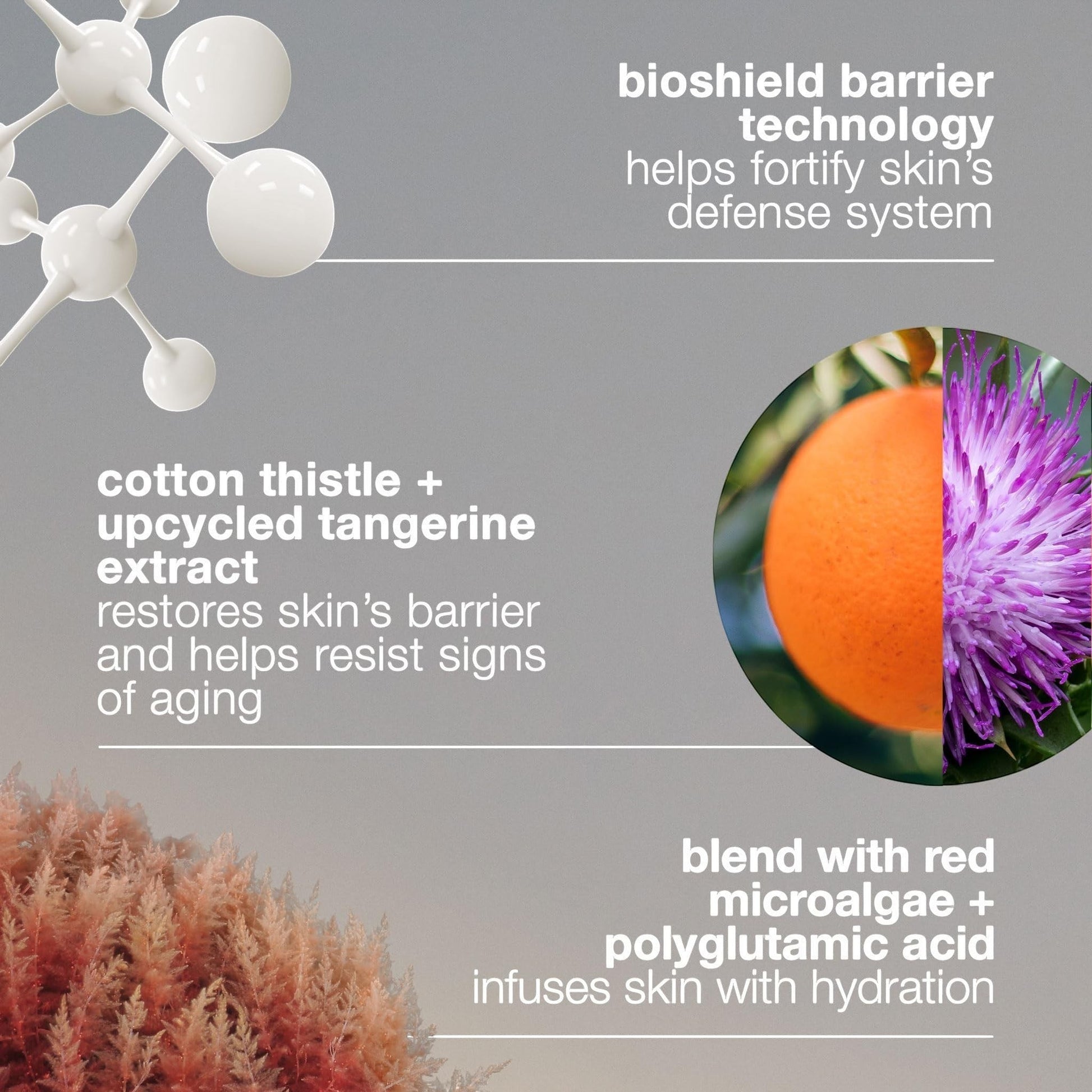 Dermalogica Dynamic Skin Strengthening Serum