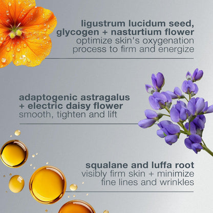 Dermalogica Phyto-Nature Oxygen Cream Moisturizer