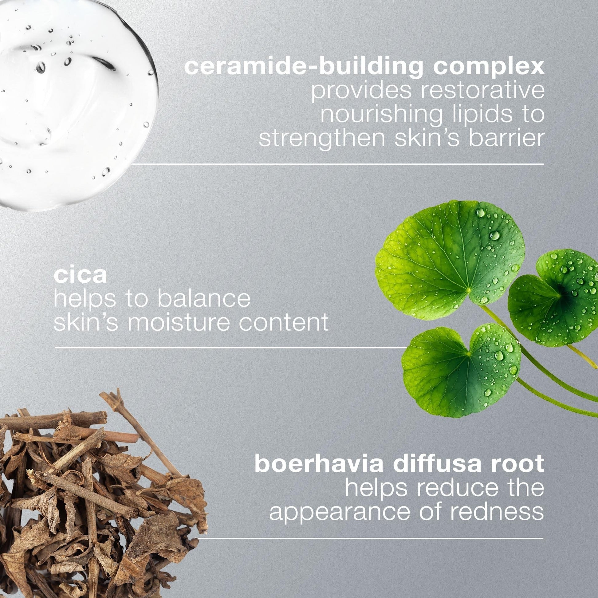 Dermalogica Stabilizing Repair Cream Moisturizer