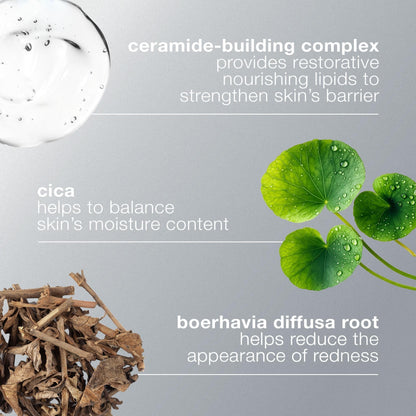 Dermalogica Stabilizing Repair Cream Moisturizer