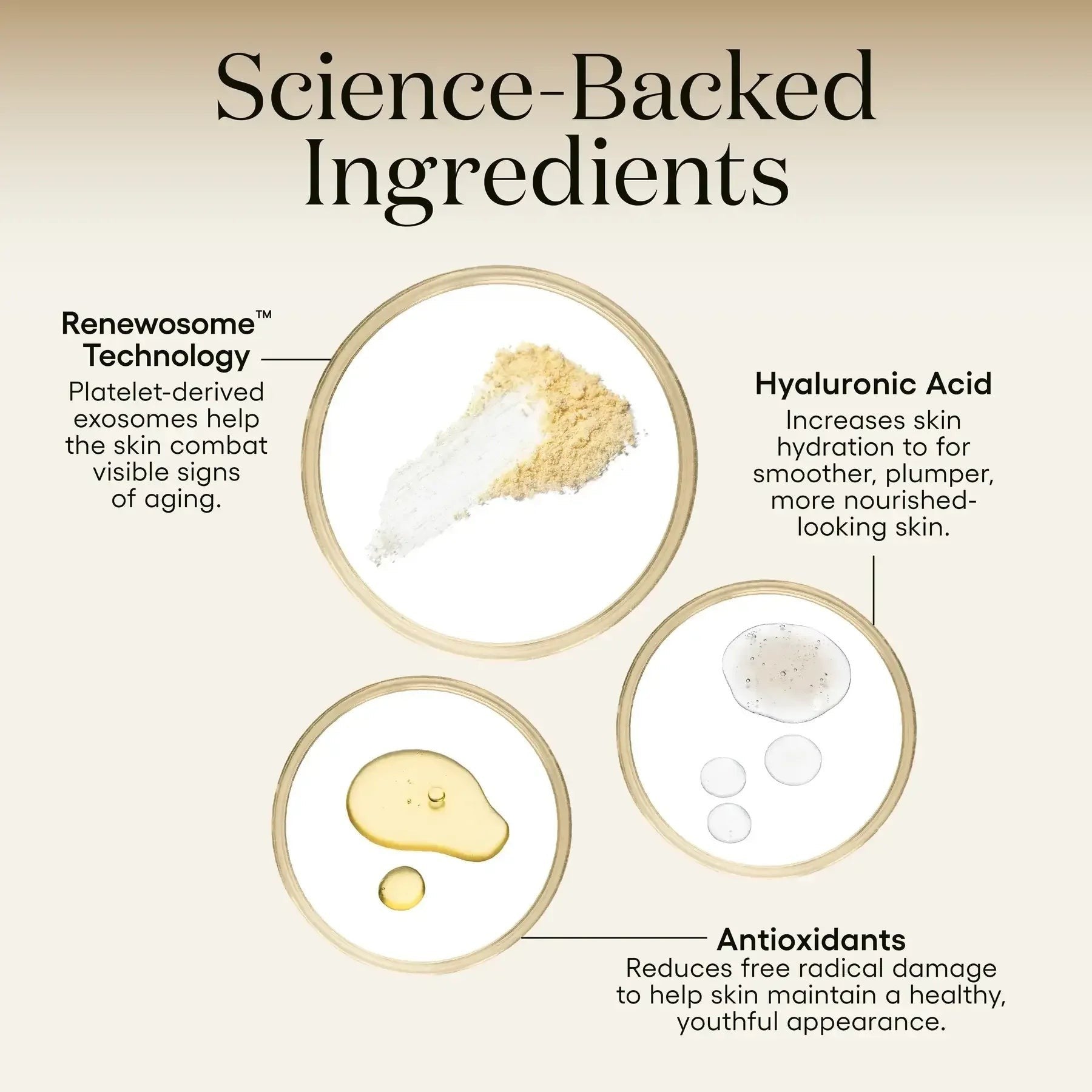 Plated Skin Science Intense Serum Refill - DermLane